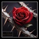 4ever feat Ganeesha Single