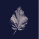 Ordinary World Single