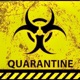 Quarantine Single