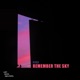 Remember the Sky Single