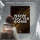 Now You re Gone Single