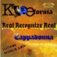 Real Recognize Real feat Cappadonna Br00klyn James Single