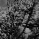 Waiting EP