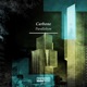 Parallelism Single
