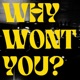 WHY WONT YOU feat Shiiva Single
