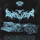 Dominator Single