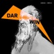 Darwin Single