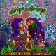 Psychedelic Romance Single
