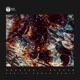 Scream Single