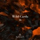 Wild Cards 16