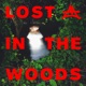 Lost In The Woods Single