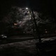 cold winter Single