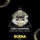 Scream and Shout Single