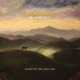 Banks Of The Deep End Live Single