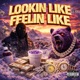 Look Like Feel Like Single