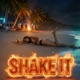Shake It Single