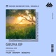 Gruva ShemoW Remix Single