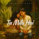 Tu Mila Hai Single