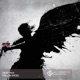 Fallen Angel Single