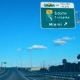 Bfwe Trip 2 Miami Single