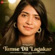 Tumse Dil Lagakar Single