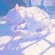 Neko Gatekeeper Single