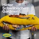Hinter Schwäbischen Gardinen EP