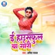 E Housefull Ba Gori