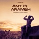 Ant Hi Arambh Single
