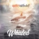 Whale Single