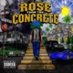 Rose from the Concrete feat Carolyn Rodriguez Single