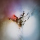 Synesthesia Single