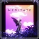 Meditate feat YHWHHH Single