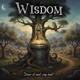 Wisdom Single