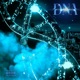 DNA feat Sosa Papi Chulo Single