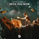 Need You Now Single