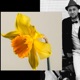 Follow Me feat Kareem Single