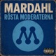 Rösta Moderaterna Single