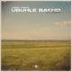 Ubuhle Bakho Single