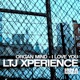 Organ Mind I Love You Single