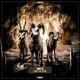 Lost in Pain Single