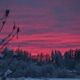 Cold Winter Nights Single
