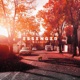 Dissolve Single