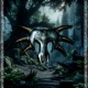 Old Camp Single