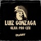 Olha Pro Céu Duart Remix feat Luiz Gonzaga Single