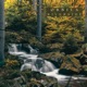 Riverside Single