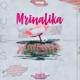 Mrinalika feat Ani Made It Lit Single