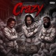 Crazy feat Adonis DaHottest Don Elway Single