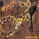 Aave Single