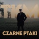 CZARNE PTAKI Single